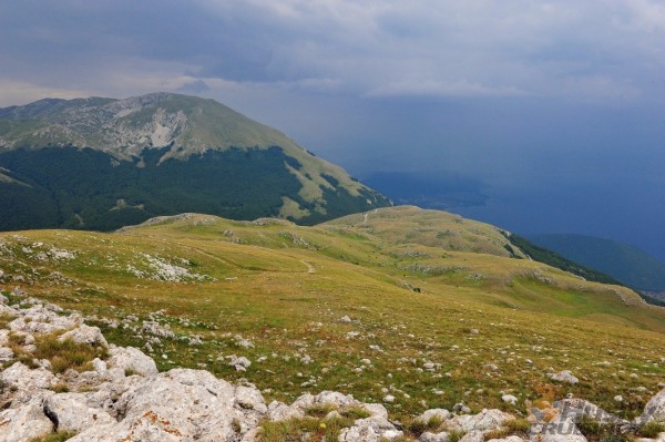 _HUS0279