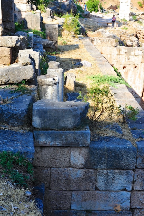 _HUS1199