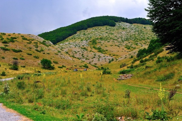 _HUS9926